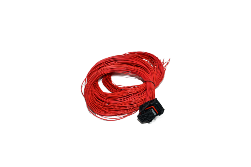 BMS wiring harness