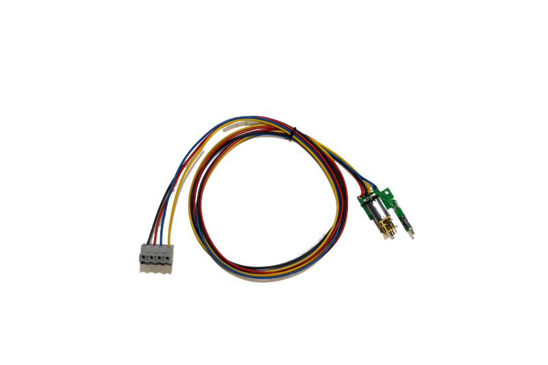 Door locking motor wiring harness