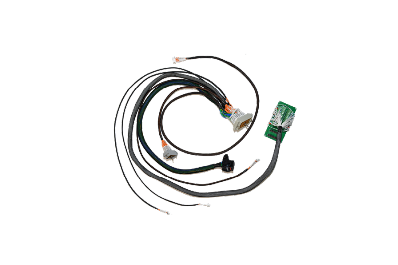 BMS controller cable harness
